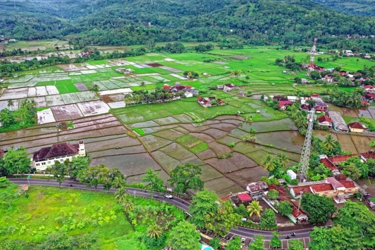 The Essentials of Blogging: Tips and Strategies for Success